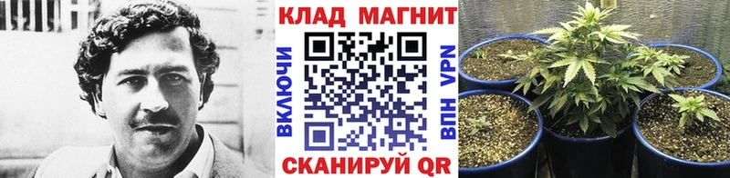 Купить наркоту Николаевск ГАШИШ Alpha PVP Меф мяу мяу