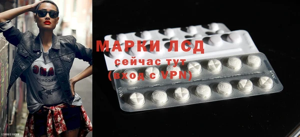 ECSTASY Сураж