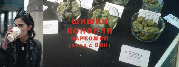 первитин Новозыбков