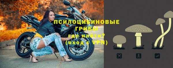 первитин Новозыбков